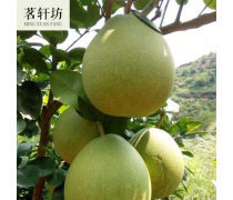 贛州柚子產(chǎn)品庫——優(yōu)質(zhì)柚子批發(fā)，盡在江西產(chǎn)品庫